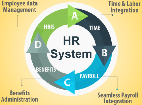 Employee Management Software Development